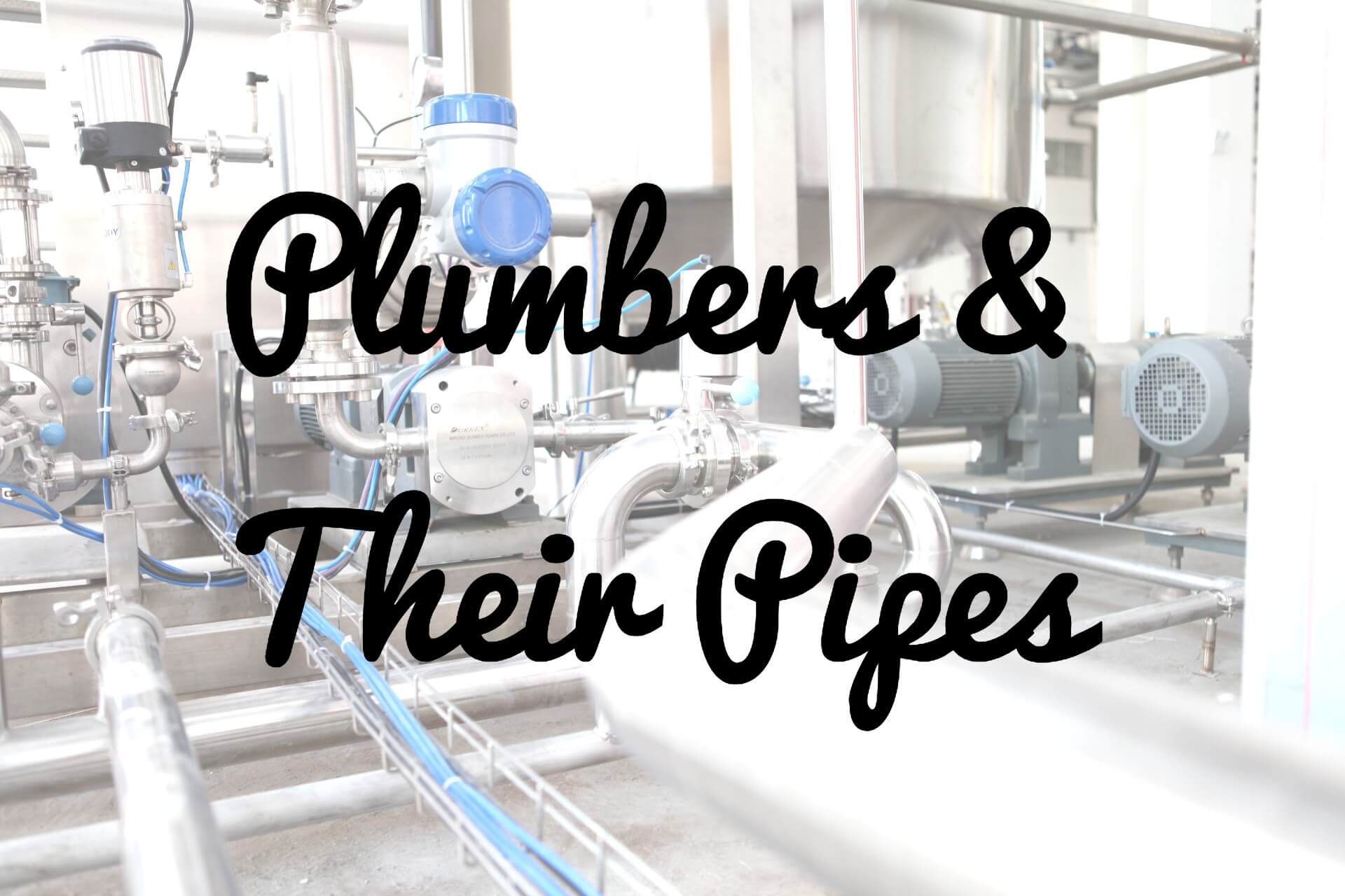 Plumbers & Their Pipes: Understanding Business Processes
